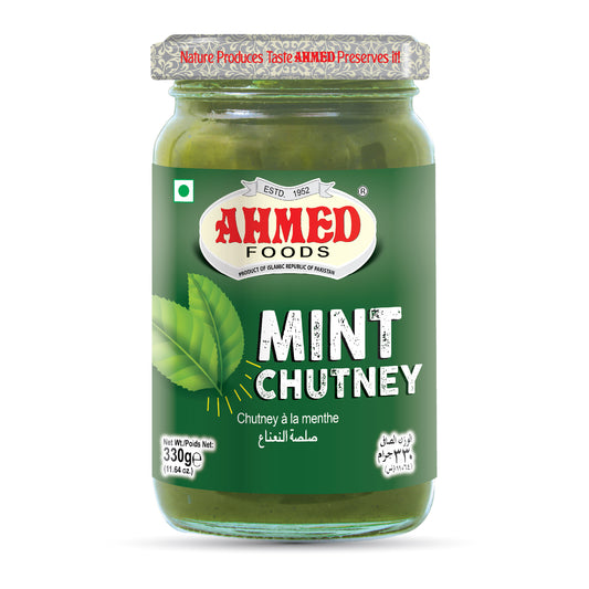 Mint Chutney