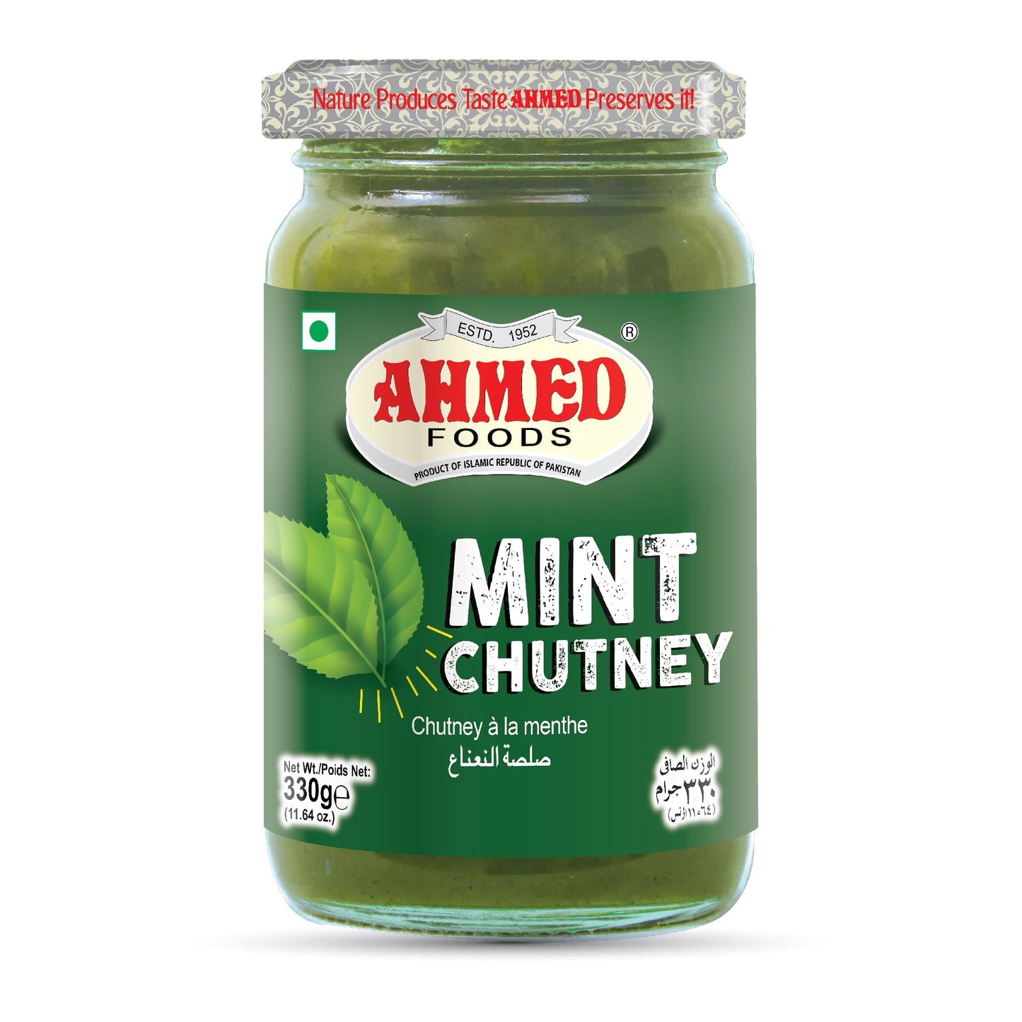 Mint Chutney